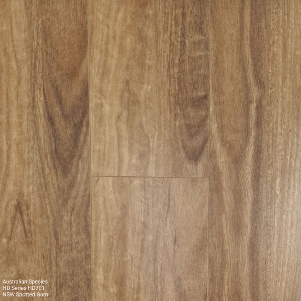 Australian Species HD701 NSW Spotted Gum