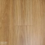 Australian Species HD702 Coastal Blackbutt