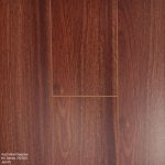 Australian Species HD704 Jarrah