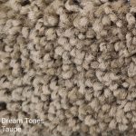 Dream Tones Taupe Carpet