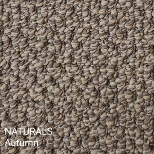 Naturals Autumn Carpet