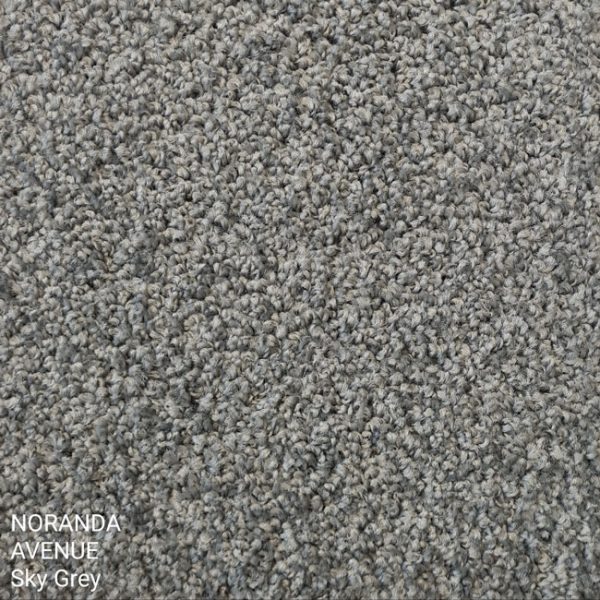 Noranda Avenue Sky Grey Carpet