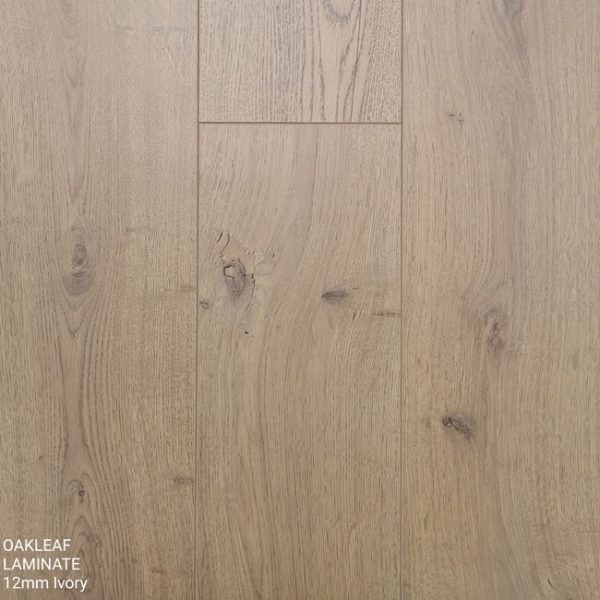 Oakleaf Laminate Flooring Ivory 12mm