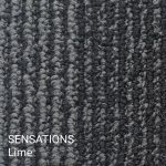 Sensations Lime Carpet