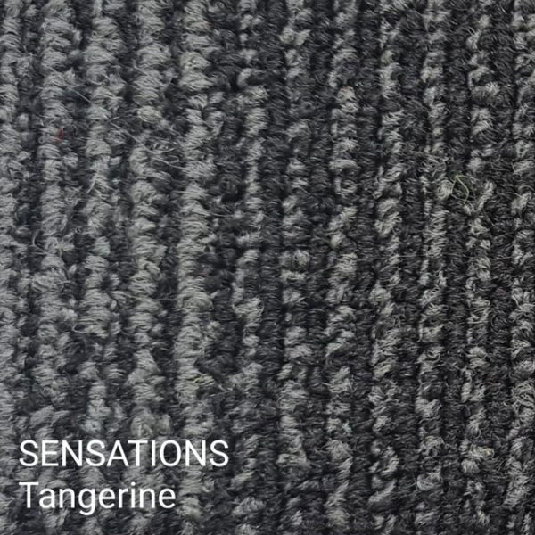 Sensations Tangerine Carpet