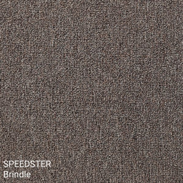 Speedster Brindle Carpet