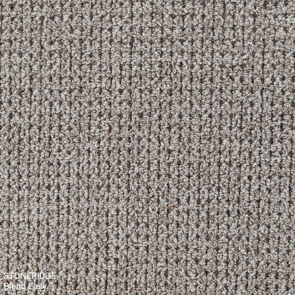 Stoneridge Blend Easy Carpet