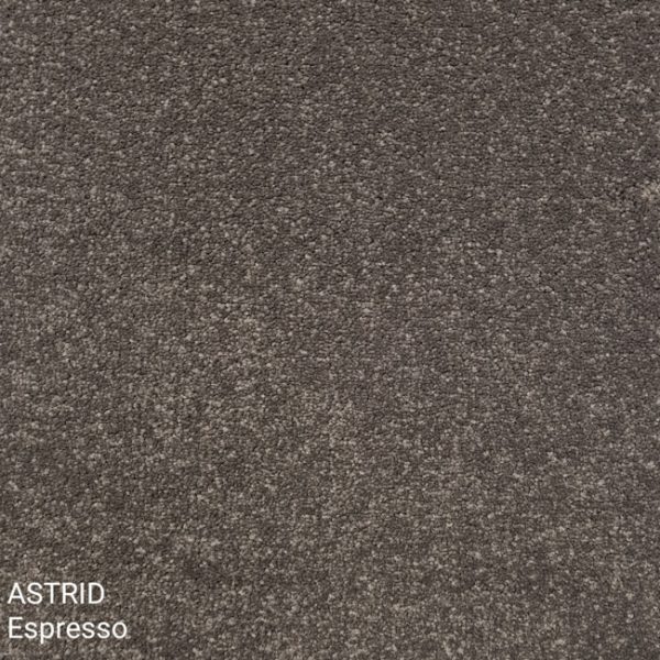 Astrid Espresso Carpet