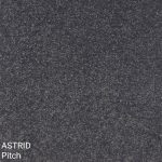 Astrid Pitch Carpet