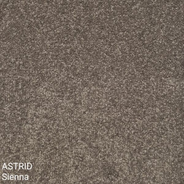 Astrid Sienna Carpet