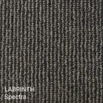 Labrinth Spectra Carpet