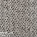 Manor Lakes Taupe Carpet