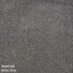 Mantra Mole Grey Carpet