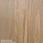 Splendid Hybrid Weathered Spotted Gum