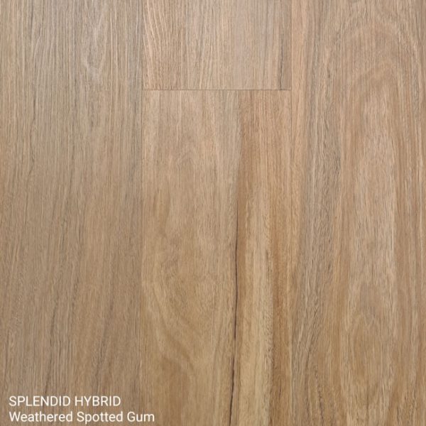 Splendid Hybrid Weathered Spotted Gum