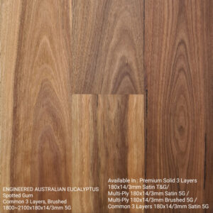 Engineered-Australian-Eucalyptus-Spotted-Gum