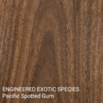 Engineered Exotic Species Pacific Spotted Gum