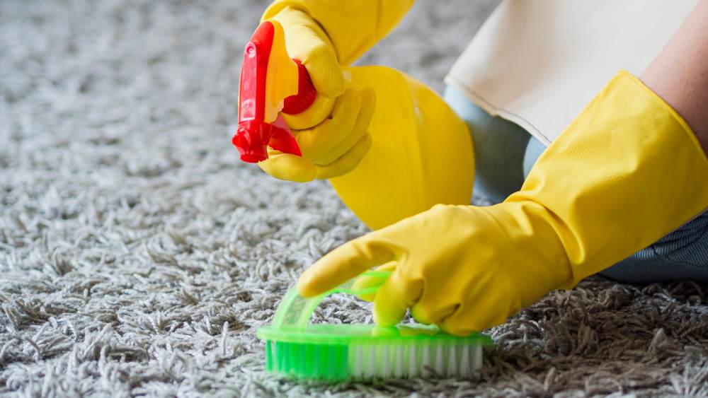 Close-up of woman cleaning carpet with yellow plastic gloves and brush